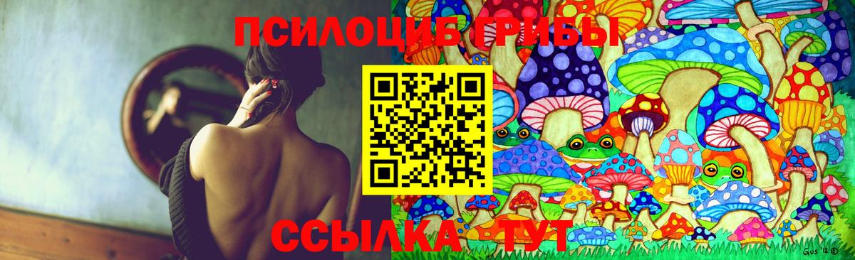 Псилоцибиновые грибы мицелий Егорьевск