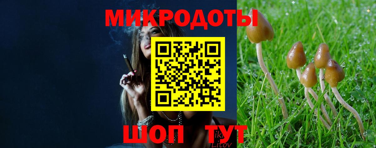 Псилоцибиновые грибы Psilocybine cubensis  Вход с VPN  Егорьевск  Псилоцибиновые грибы Psilocybe 